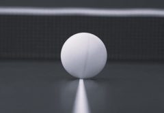 Pallina da ping pong